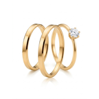aliança de namoro prata950 banhada ouro 18k